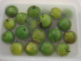 Quy trình sơ chế, bảo quản quả cam quy mô nhỏ